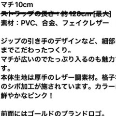 決まりました／ココディールハンドバッグの画像