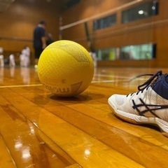 ソフトバレーのメンバー募集です！