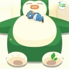 ポケカ、DBD仲間募集