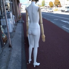万代店　全身マネキン トルソー　ディスプレイ　指·腕関節可動　高さ163㎝の画像