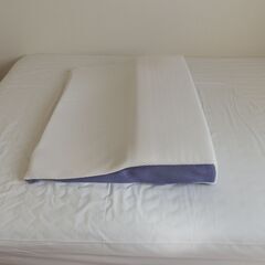 トゥルースリーパー（TIrueSIeeper)　快眠低反発枕　セ...