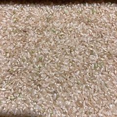 令和５（２０２３）年度産【３０ｋｇ】玄米【まっしぐら】青森県産【天日干し品】自家生産品【１等米】産地直送の画像