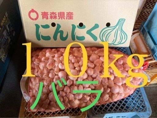 特価★青森にんにく【１０ｋｇ／バラ品】乾燥サイズ混合セット】手間暇かけてほぐしたバラ品〜産地直送で格安おトクお得♪