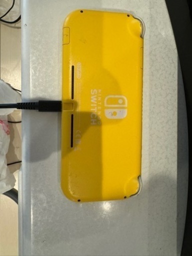 Nintendo switch Lite 本体 節約 本日限定値下げ！ Nintendo Switch