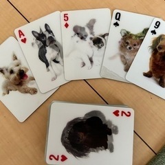 3D 犬のトランプの画像