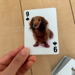 3D 犬のトランプの画像