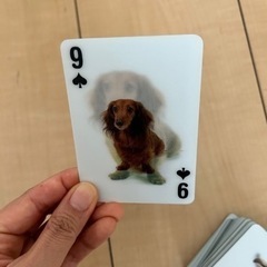 3D 犬のトランプの画像