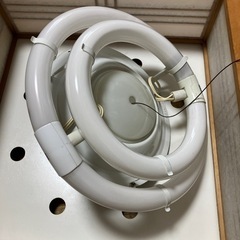 照明　和室の画像