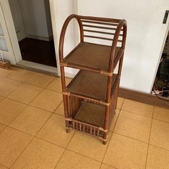 籐の棚