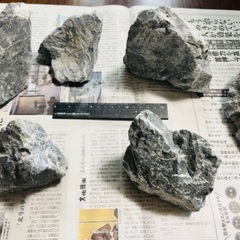 アクアリウム　レイアウト石　15kgぐらいの画像