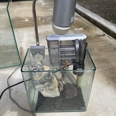 水槽セットの画像