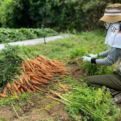 無農薬の野菜作りと農ある暮らし、人と人が支え合い助け合うこれからの生き方＆コミュニティについて語るオンライントークイベント - セミナー