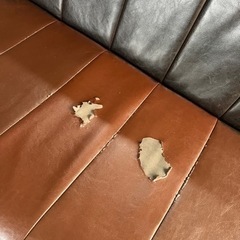 ソファーの画像