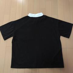 《フリーサイズ》襟付き 半袖の画像