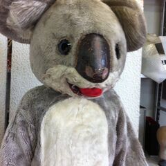 値下げ。格安中古短期使用　着ぐるみ・本格イベントスーツ　「コアラ・こあら、中スーツ付き」。 　動物・等身大　本体丈夫で、消臭・清潔な樹脂製・国産手造り品、本体スーツ、手、脚、靴セット。洗濯出来ます。 　パンダ・コアラ・トラ・ブタ・トラサル等１３種各1着先着限り。の画像