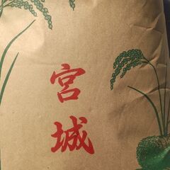 令和5年産ササ結(中米) 玄米 30kg ②