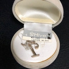 SV925 シルバー　ペンダントトップ【T】の画像