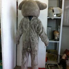 値下げ。格安中古短期使用　着ぐるみ・本格イベントスーツ　「コアラ・こあら、中スーツ付き」。 　動物・等身大　本体丈夫で、消臭・清潔な樹脂製・国産手造り品、本体スーツ、手、脚、靴セット。洗濯出来ます。 　パンダ・コアラ・トラ・ブタ・トラサル等１３種各1着先着限り。の画像