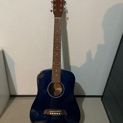 アコースティックギター