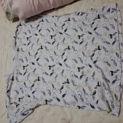 半袖ティシャツ　無料の画像