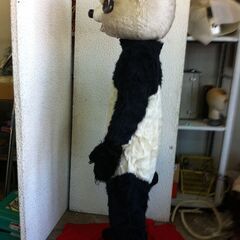 値下げ。格安中古短期使用　着ぐるみ・本格イベントスーツ　「パンダ・ぱんだ着ぐるみ、中スーツ付き」。 　動物・等身大　本体丈夫で、消臭・清潔な樹脂製・国産手造り品、本体スーツ、手、脚、靴セット。洗濯出来ます。 　パンダ・コアラ・トラ・ブタ・トラサル等１３種各1着先着限り。の画像