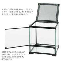 テラスペース 30×30×32cm 爬虫類 両生類 飼育ケージ テラリウムの画像