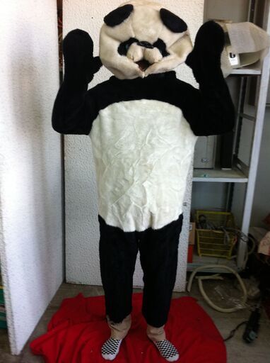 値下げ。要修理口元ベロ。格安中古短期使用　着ぐるみパンダ・動物イベントスーツ　「子パンダ・」。 　動物・等身ゴム製　・国産品、本体スーツ、手、脚付き、頭セット２点。洗濯出来ます。 　パンダ・コアラ・トラ・ブタ・ウサギ・サル等１３種各1着先着限り。
