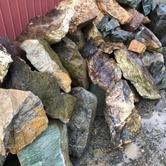 無料！！庭石差し上げますの画像