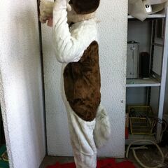 値下げ。要修理　口元・口先。格安中古短期使用　着ぐるみ・本格イベントスーツ　「イヌ・犬・いぬ。」。 　動物・等身大　本体丈夫で、消臭・清潔な樹脂製・国産手造り品、本体スーツ、手、脚、靴セット。洗濯出来ます。 　パンダ・コアラ・トラ・ブタ・ウサギ・サル等１３種各1着先着限り。  の画像