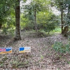 千葉県長生郡白子町関 #157 不動産0円物件 - 土地販売/土地売買
