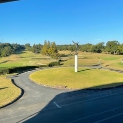 松戸、市川、船橋　辺りで