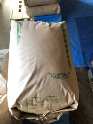 令和五年　梨北米　コシヒカリ30kg （玄米）