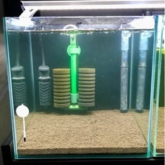 未使用】アマゾニアソイル ノーマル9l パウダー3l 魚用品・水草