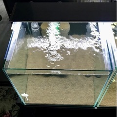 《取引成立》水槽 30 cm キュ－ブ ★ アマゾニアソイル（二層）底敷ADAバクター100他2種類・ツインブリラントスポンジフィルター・底面フィルター・立ち上げセット♪の画像