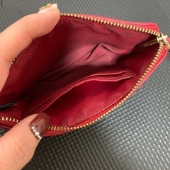 コーチポーチの画像