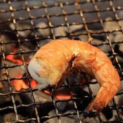 別荘を借りて、焚き火&BBQをやりましょう！！ - 高崎市