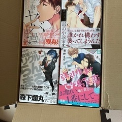 レディースコミックbl 74冊