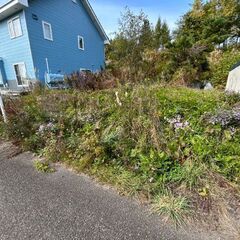赤平市草刈り作業