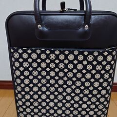 着物用バック　（新品未使用品です。）