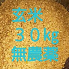 玄米　30㎏　新米　無農薬