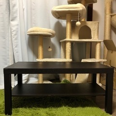 【受け渡し予定者が決まりました】ローテーブルの画像