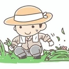 草むしり&畑での収穫作業🍠