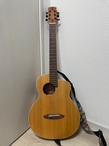 aNueNue BirdGuitar ミニギター