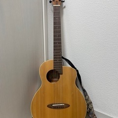 aNueNue BirdGuitar ミニギター