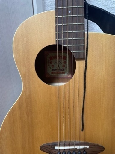aNueNue BirdGuitar ミニギター