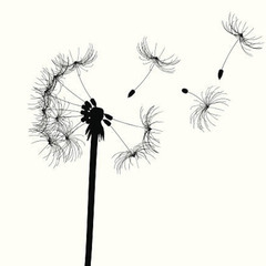 🌸起業のタネを見つける🌱女性起業コミュニティ✨　
