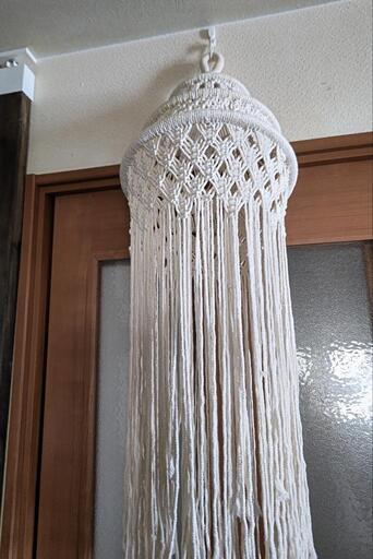 名前がわかりません。