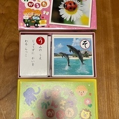 しぜんかんさつかるた　ひかりのくにの画像