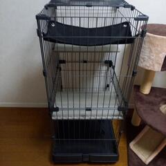 キャットタワー、ゲージの画像
