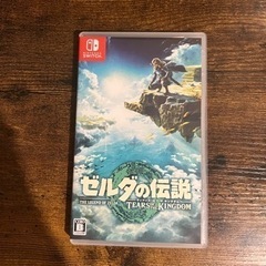 ゼルダの伝説　ティアーズオブキングダム　値下げ交渉不可